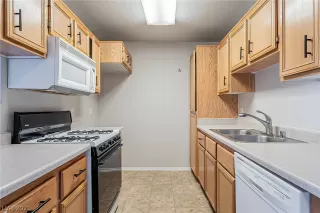 Photo #1: 2320511 Listing 