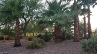 Photo #2: 2324561 Listing