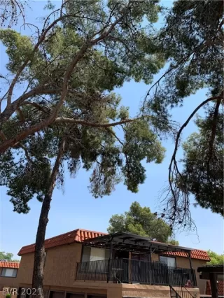 Photo #1: 2326838 Listing