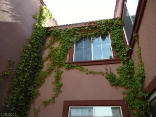 Photo #3: 2329622 Listing 