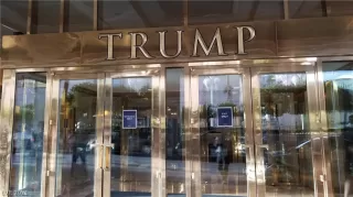 Photo #1: 2336915 Listing