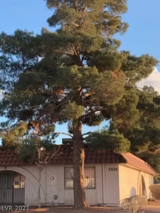 Photo #1: 2340155 Listing 