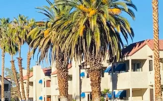 Photo #1: 2344542 Listing