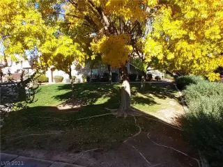 Photo #3: 2354061 Listing