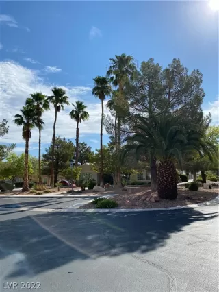 Photo #1: 2359196 Listing 