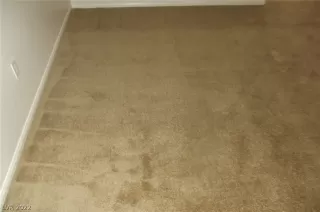 Photo #5: 2360258 Listing 