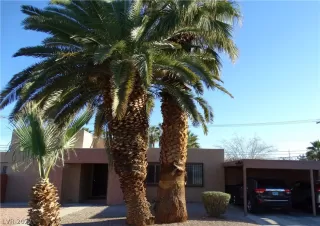 Photo #1: 2377289 Listing