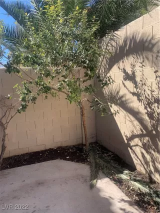 Photo #5: 2377555 Listing 