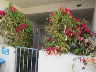 Photo #5: 2378224 Listing 