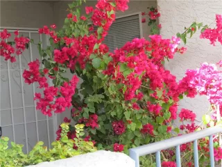 Photo #6: 2378224 Listing 