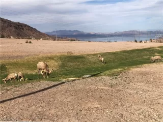 Photo #2: 2378643 Listing