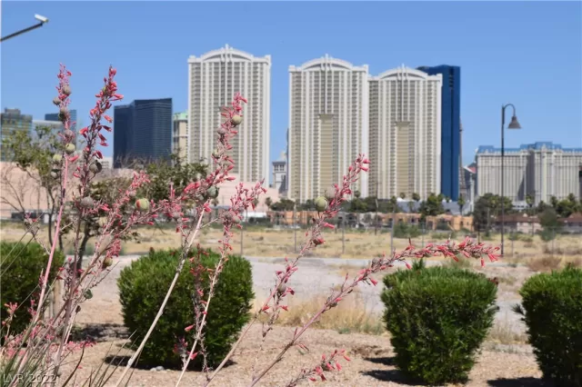 MLS: 2392062 Condo For Sale