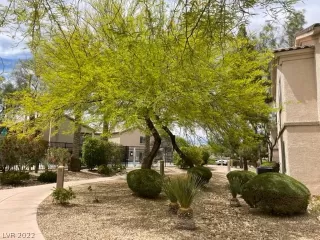 Photo #6: 2394594 Listing 