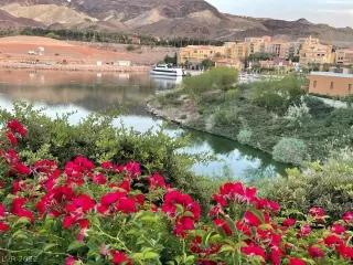 Photo #5: 2395206 Listing 