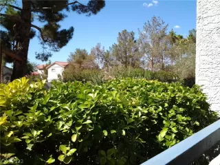 Photo #1: 2407878 Listing 