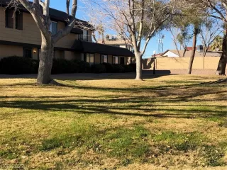 Photo #1: 2410044 Listing