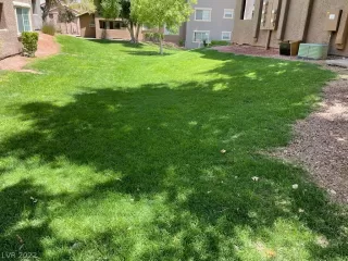 Photo #4: 2417414 Listing