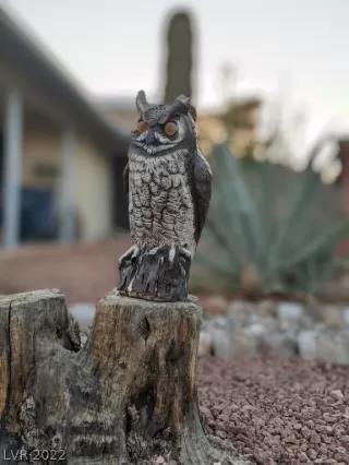 Photo #3: 2419397 Listing 