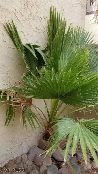 Photo #3: 2419994 Listing