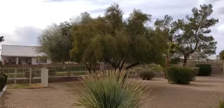 Photo #1: 2423992 Listing 