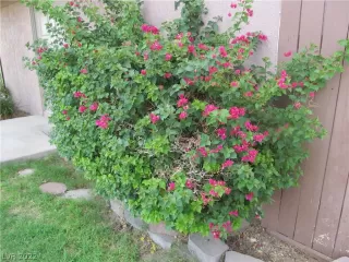 Photo #1: 2424456 Listing 