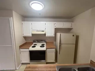 Photo #6: 2439472 Listing 