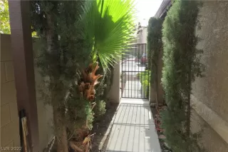 Photo #4: 2446308 Listing 