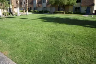 Photo #2: 2447462 Listing 