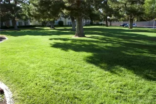 Photo #4: 2447462 Listing 