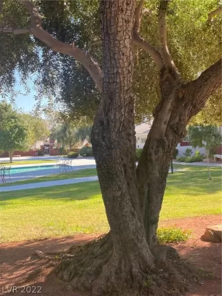 Photo #2: 2448600 Listing