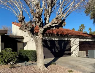 Photo #1: 2448642 Listing 