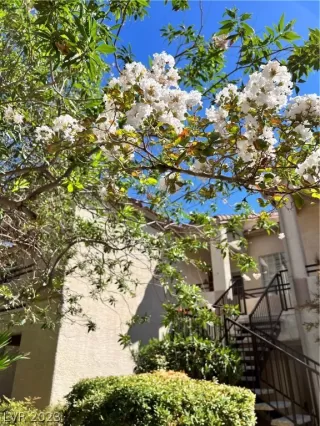 Photo #1: 2464464 Listing