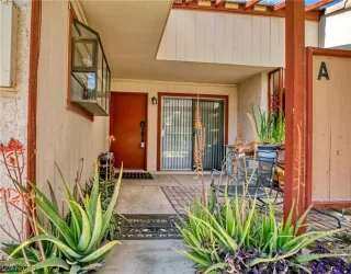 Photo #1: 2480836 Listing 