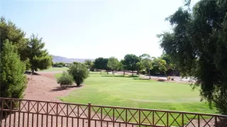 Photo #1: 2483052 Listing 