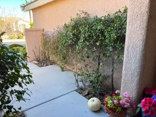 Photo #6: 2488743 Listing 