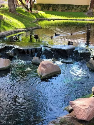 Photo #2: 2492376 Listing 