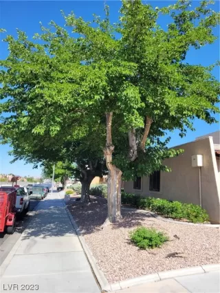 Photo #2: 2496368 Listing 