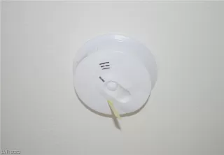 Photo #3: 2501575 Listing