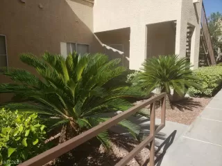 Photo #5: 2511950 Listing