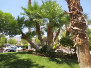 Photo #5: 2512902 Listing