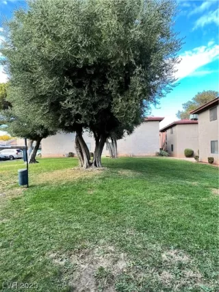 Photo #3: 2513913 Listing 