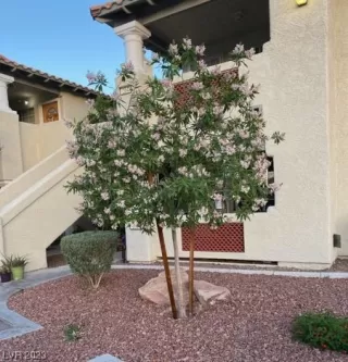 Photo #3: 2523411 Listing
