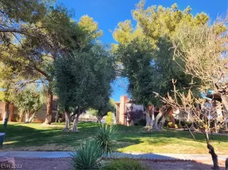 Photo #6: 2528244 Listing 