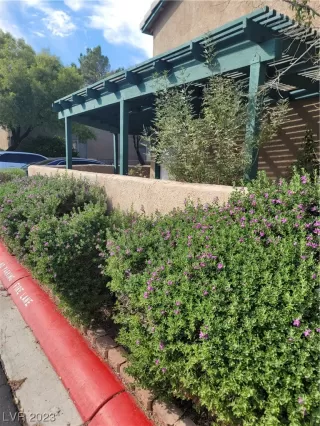 Photo #4: 2529627 Listing 