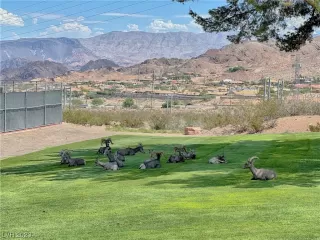 Photo #2: 2542721 Listing