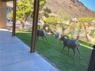 Photo #3: 2543696 Listing