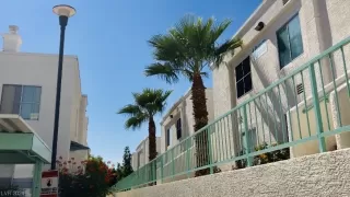 Photo #3: 2550194 Listing 