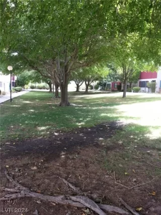 Photo #1: 2551888 Listing