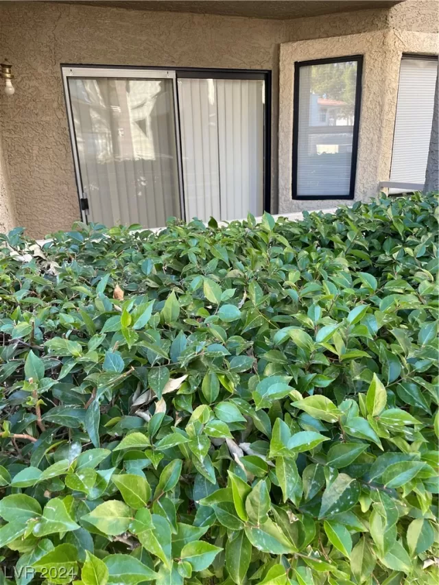 MLS: 2553366 Condo For Sale