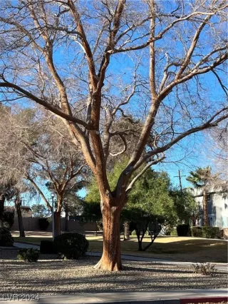 Photo #2: 2554442 Listing